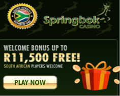 springbok-casino-bonus2